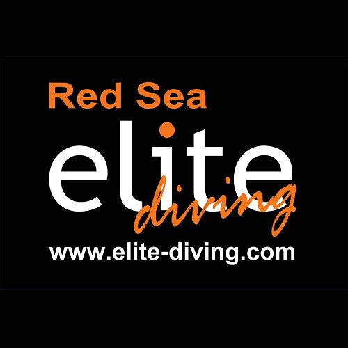 Home 78 The CEO Vision