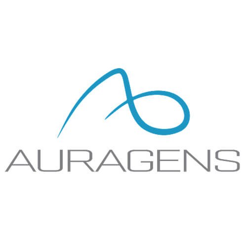 Home 75 The CEO Vision,ceovision,ceo magazine